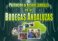 imagen 03