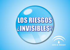 imagen 05
